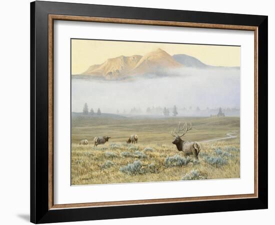 Autumn Elk-Michael Budden-Framed Giclee Print
