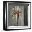 Autumn Embers-Steven Garrett-Framed Giclee Print