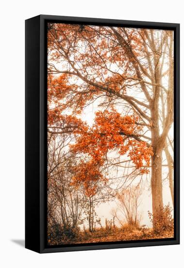 Autumn Emotion-Philippe Saint-Laudy-Framed Premier Image Canvas