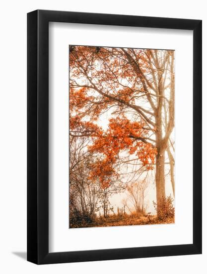Autumn Emotion-Philippe Saint-Laudy-Framed Photographic Print