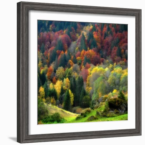 Autumn Erupting-Philippe Sainte-Laudy-Framed Photographic Print