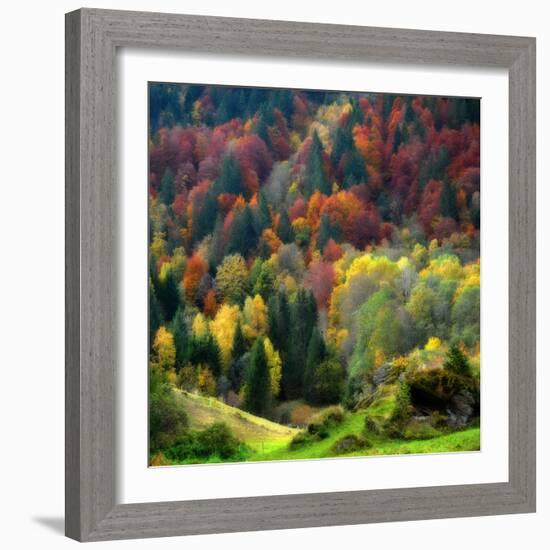 Autumn Erupting-Philippe Sainte-Laudy-Framed Photographic Print