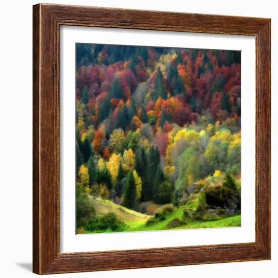 Autumn Erupting-Philippe Sainte-Laudy-Framed Photographic Print