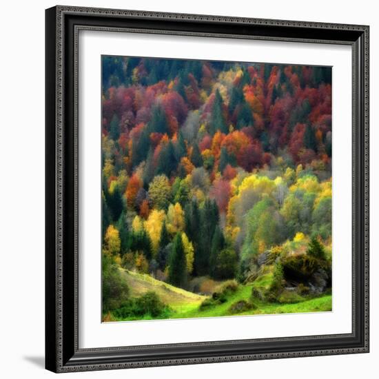 Autumn Erupting-Philippe Sainte-Laudy-Framed Photographic Print