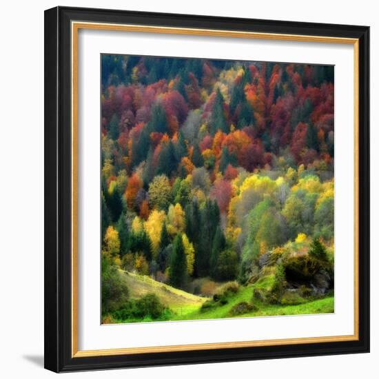 Autumn Erupting-Philippe Sainte-Laudy-Framed Photographic Print