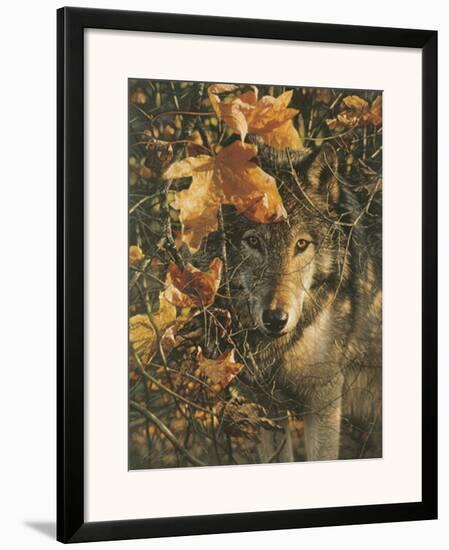 Autumn Eyes-Collin Bogle-Framed Art Print