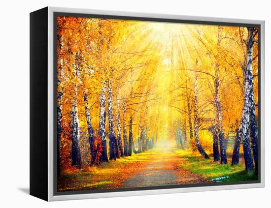 Autumn. Fall. Autumnal Park. Autumn Trees and Leaves in Sun Rays. Beautiful Autumn Scene-Subbotina Anna-Framed Premier Image Canvas