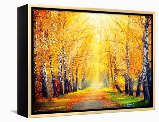 Autumn. Fall. Autumnal Park. Autumn Trees and Leaves in Sun Rays. Beautiful Autumn Scene-Subbotina Anna-Framed Premier Image Canvas