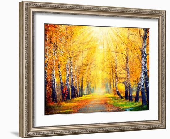 Autumn. Fall. Autumnal Park. Autumn Trees and Leaves in Sun Rays. Beautiful Autumn Scene-Subbotina Anna-Framed Photographic Print