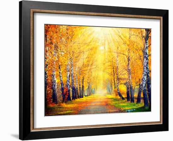 Autumn. Fall. Autumnal Park. Autumn Trees and Leaves in Sun Rays. Beautiful Autumn Scene-Subbotina Anna-Framed Photographic Print