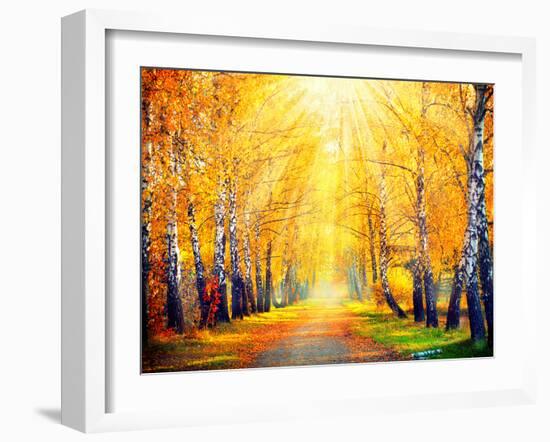 Autumn. Fall. Autumnal Park. Autumn Trees and Leaves in Sun Rays. Beautiful Autumn Scene-Subbotina Anna-Framed Photographic Print