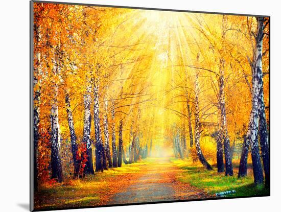 Autumn. Fall. Autumnal Park. Autumn Trees and Leaves in Sun Rays. Beautiful Autumn Scene-Subbotina Anna-Mounted Photographic Print