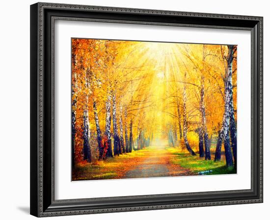 Autumn. Fall. Autumnal Park. Autumn Trees and Leaves in Sun Rays. Beautiful Autumn Scene-Subbotina Anna-Framed Photographic Print