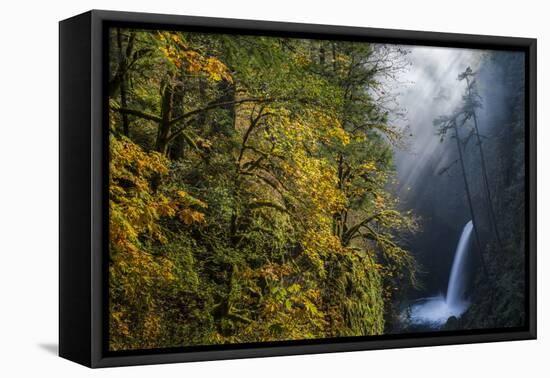 Autumn Fall Color and Sun-Streaked Mist at Metlako Falls on Eagle Creek in the Columbia Gorge-Gary Luhm-Framed Premier Image Canvas