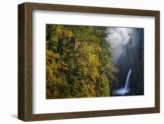 Autumn Fall Color and Sun-Streaked Mist at Metlako Falls on Eagle Creek in the Columbia Gorge-Gary Luhm-Framed Photographic Print