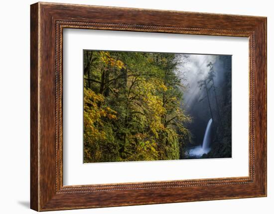 Autumn Fall Color and Sun-Streaked Mist at Metlako Falls on Eagle Creek in the Columbia Gorge-Gary Luhm-Framed Photographic Print