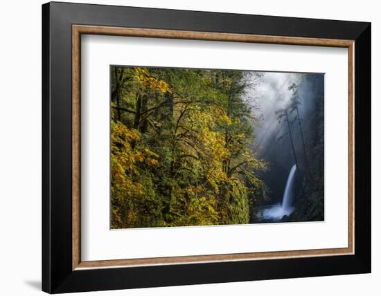 Autumn Fall Color and Sun-Streaked Mist at Metlako Falls on Eagle Creek in the Columbia Gorge-Gary Luhm-Framed Photographic Print