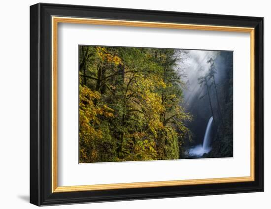 Autumn Fall Color and Sun-Streaked Mist at Metlako Falls on Eagle Creek in the Columbia Gorge-Gary Luhm-Framed Photographic Print