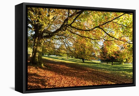 Autumn (fall) colours, Chatsworth Park, stately home of the Duke of Devonshire, Chesterfield, Derby-Eleanor Scriven-Framed Premier Image Canvas