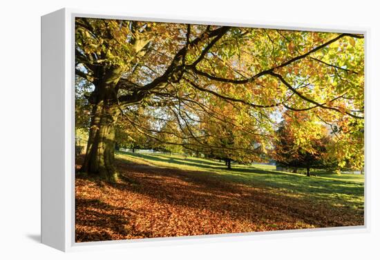 Autumn (fall) colours, Chatsworth Park, stately home of the Duke of Devonshire, Chesterfield, Derby-Eleanor Scriven-Framed Premier Image Canvas