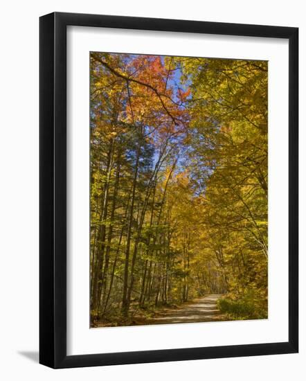 Autumn Fall Colours, Vermont Back Country Road Near West Arlington, Virginia, USA-Neale Clarke-Framed Photographic Print