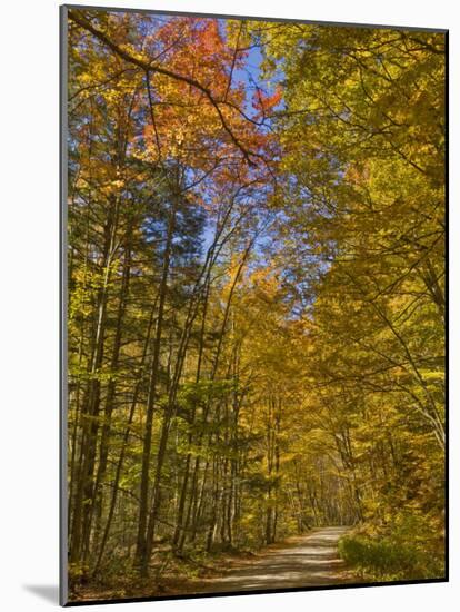 Autumn Fall Colours, Vermont Back Country Road Near West Arlington, Virginia, USA-Neale Clarke-Mounted Photographic Print