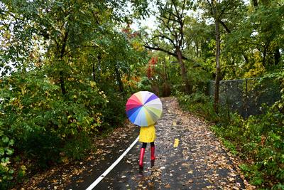 Autumn Fall Concept Woman Walking In Forest With Umbrella In