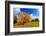 Autumn, Fall Landscape with a Tree Full of Colorful Leaves, Sunny Blue Sky.-Michal Bednarek-Framed Photographic Print