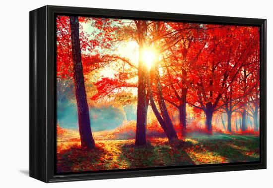 Autumn. Fall Scene. Beautiful Autumnal Park. Beauty Nature Scene. Autumn Landscape, Trees and Leave-Subbotina Anna-Framed Premier Image Canvas