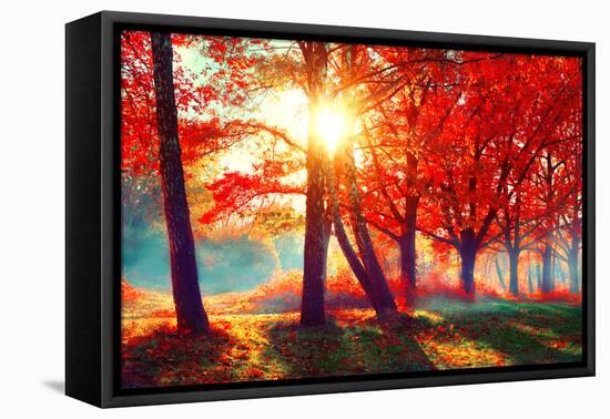 Autumn. Fall Scene. Beautiful Autumnal Park. Beauty Nature Scene. Autumn Landscape, Trees and Leave-Subbotina Anna-Framed Premier Image Canvas