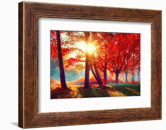 Autumn. Fall Scene. Beautiful Autumnal Park. Beauty Nature Scene. Autumn Landscape, Trees and Leave-Subbotina Anna-Framed Photographic Print