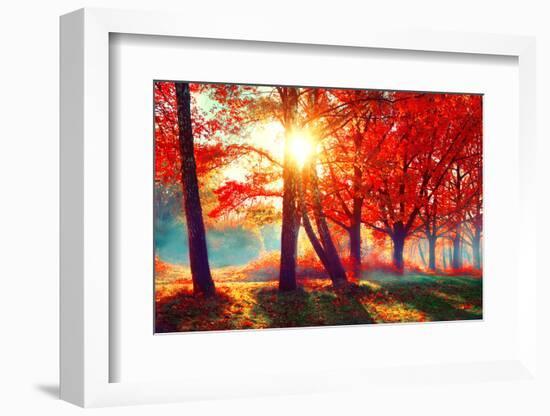 Autumn. Fall Scene. Beautiful Autumnal Park. Beauty Nature Scene. Autumn Landscape, Trees and Leave-Subbotina Anna-Framed Photographic Print