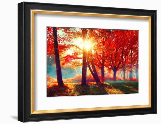 Autumn. Fall Scene. Beautiful Autumnal Park. Beauty Nature Scene. Autumn Landscape, Trees and Leave-Subbotina Anna-Framed Photographic Print