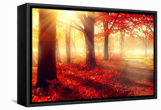 Autumn. Fall Scene. Beautiful Autumnal Park. Beauty Nature Scene. Autumn Trees and Leaves, Foggy Fo-Subbotina Anna-Framed Premier Image Canvas