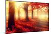 Autumn. Fall Scene. Beautiful Autumnal Park. Beauty Nature Scene. Autumn Trees and Leaves, Foggy Fo-Subbotina Anna-Mounted Photographic Print