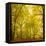 Autumn-Fall Woodland in the Chiltern Hills-Michael Gibbs-Framed Premier Image Canvas