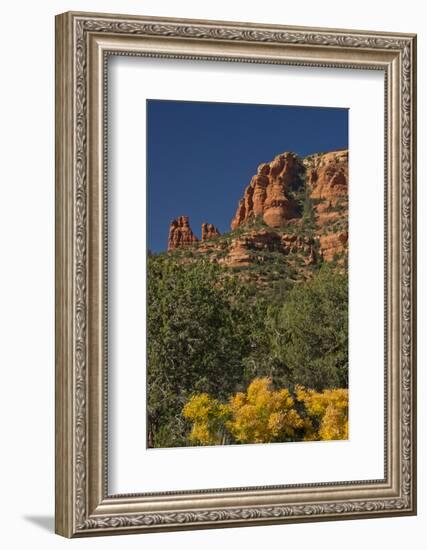 Autumn, Fay Canyon, Red Rock Secret Wilderness, Coconino NF, Arizona-Michel Hersen-Framed Photographic Print