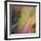 Autumn Fire-Doug Chinnery-Framed Photographic Print