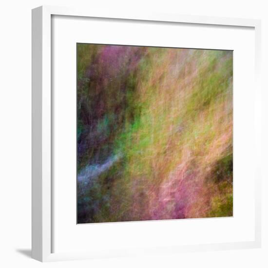 Autumn Fire-Doug Chinnery-Framed Photographic Print