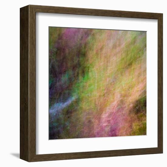 Autumn Fire-Doug Chinnery-Framed Premium Photographic Print