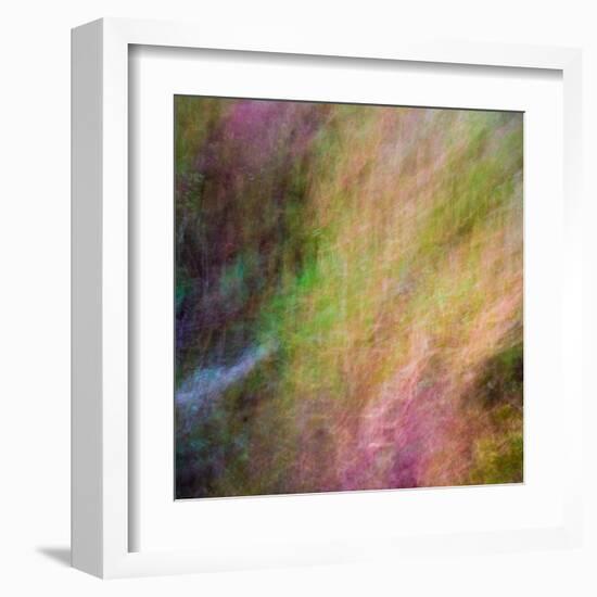 Autumn Fire-Doug Chinnery-Framed Premium Photographic Print