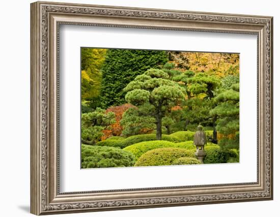 Autumn, Flat Garden, Portland, Oregon, Usa-Michel Hersen-Framed Photographic Print