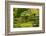 Autumn, Flat Garden, Portland, Oregon, Usa-Michel Hersen-Framed Photographic Print