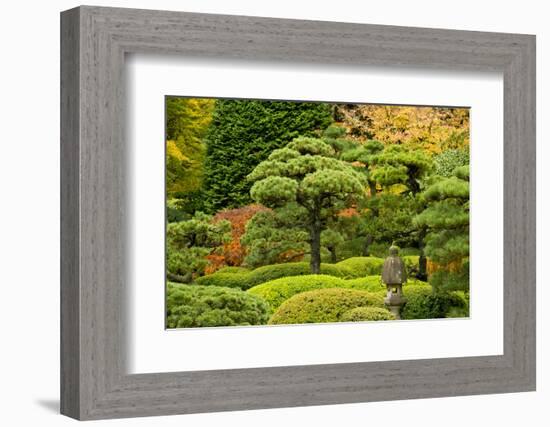 Autumn, Flat Garden, Portland, Oregon, Usa-Michel Hersen-Framed Photographic Print