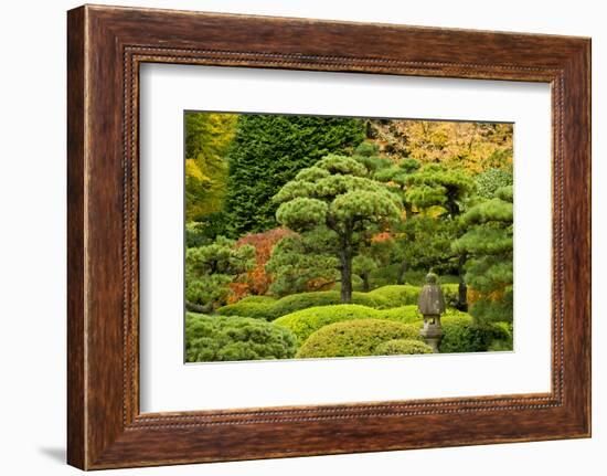 Autumn, Flat Garden, Portland, Oregon, Usa-Michel Hersen-Framed Photographic Print