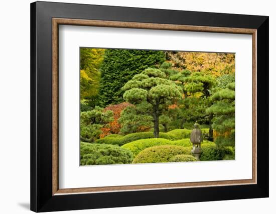 Autumn, Flat Garden, Portland, Oregon, Usa-Michel Hersen-Framed Photographic Print