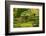 Autumn, Flat Garden, Portland, Oregon, Usa-Michel Hersen-Framed Photographic Print