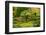 Autumn, Flat Garden, Portland, Oregon, Usa-Michel Hersen-Framed Photographic Print