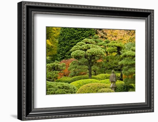 Autumn, Flat Garden, Portland, Oregon, Usa-Michel Hersen-Framed Photographic Print