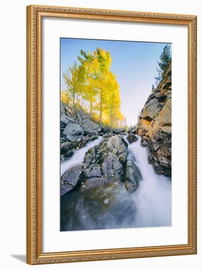 Autumn Flow at Bishop Canyon Creek, Eastern Sierras California-Vincent James-Framed Photographic Print